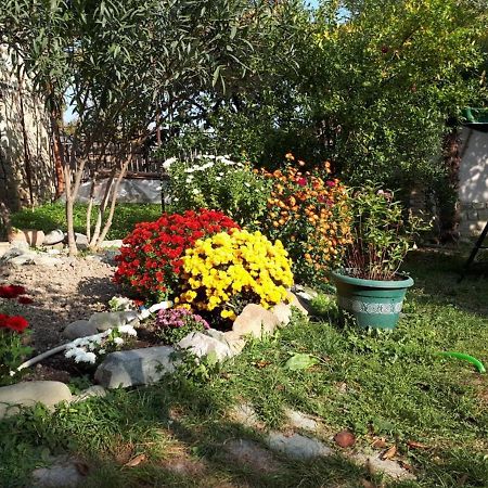 Old House Apartment With Garden Area Mtsʼkhetʼa Zewnętrze zdjęcie