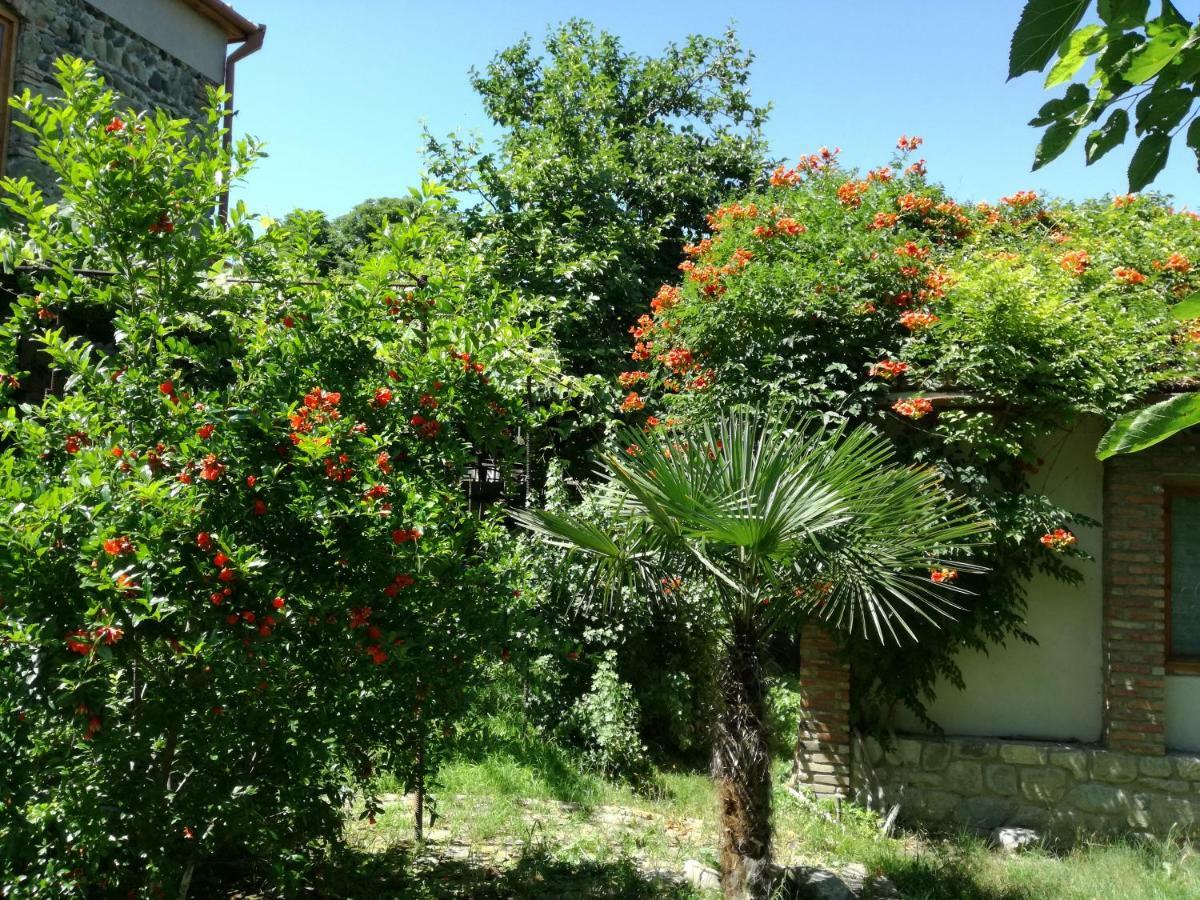 Old House Apartment With Garden Area Mtsʼkhetʼa Zewnętrze zdjęcie